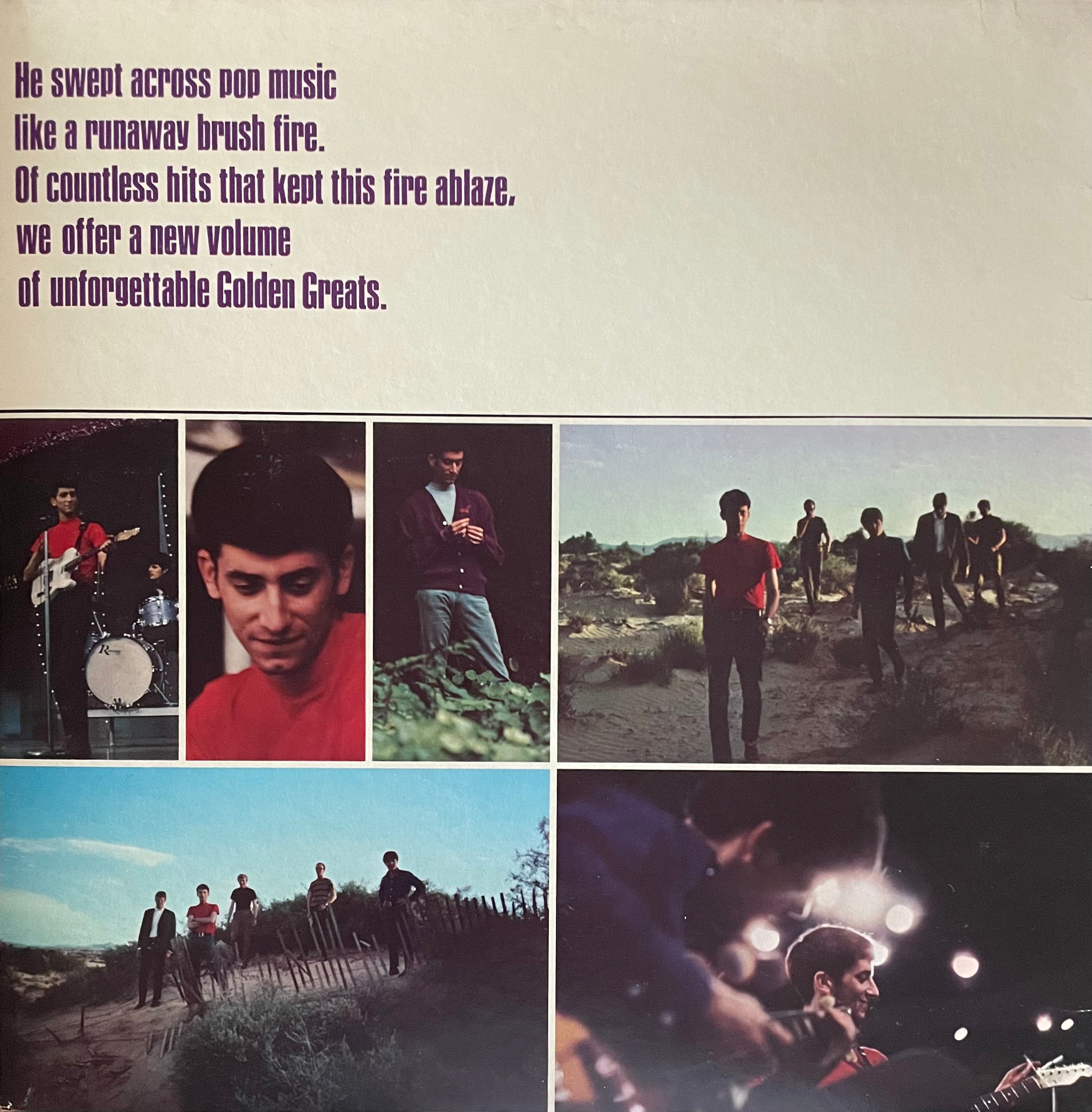 Gary Lewis & The Playboys – More Golden Greats | Orig. US 1968