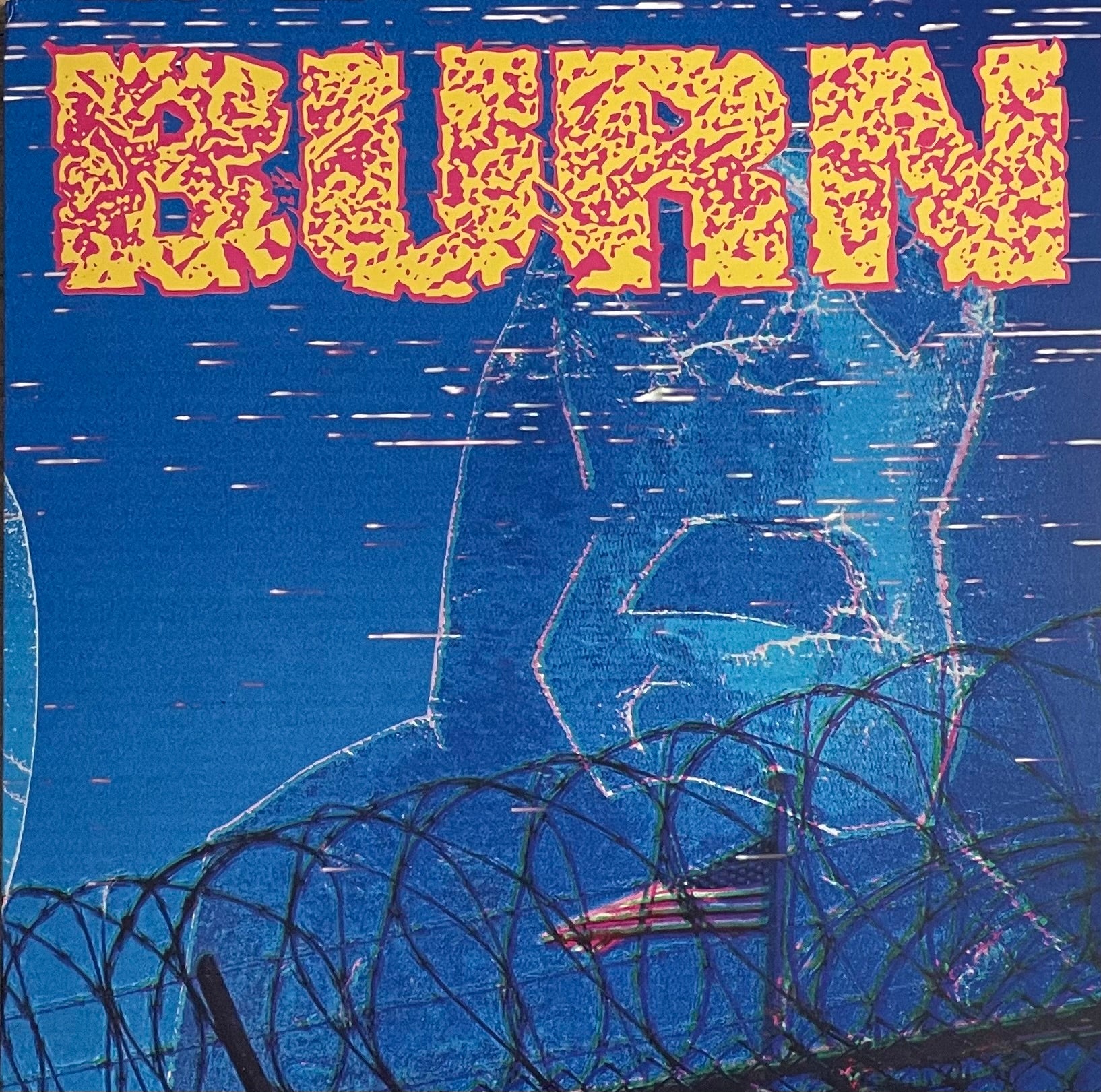 Burn – ...From The Ashes | Orig. US 2016 | Purple Translucent | Inkl. Poster