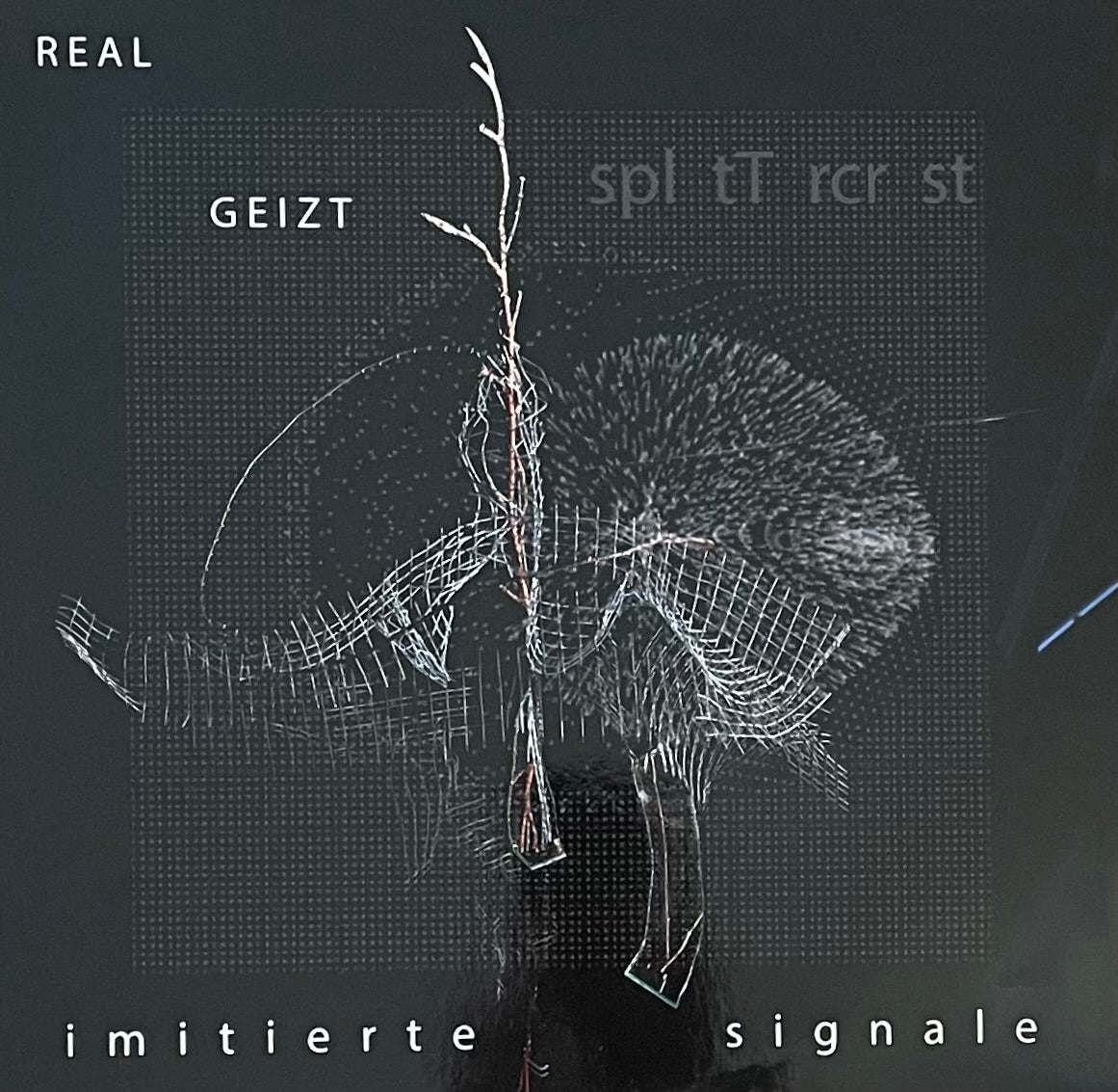Real Geizt & spl tT rcr st – Imitierte Signale | Reissue GER 2013 | Limited to 150 | White Vinyl