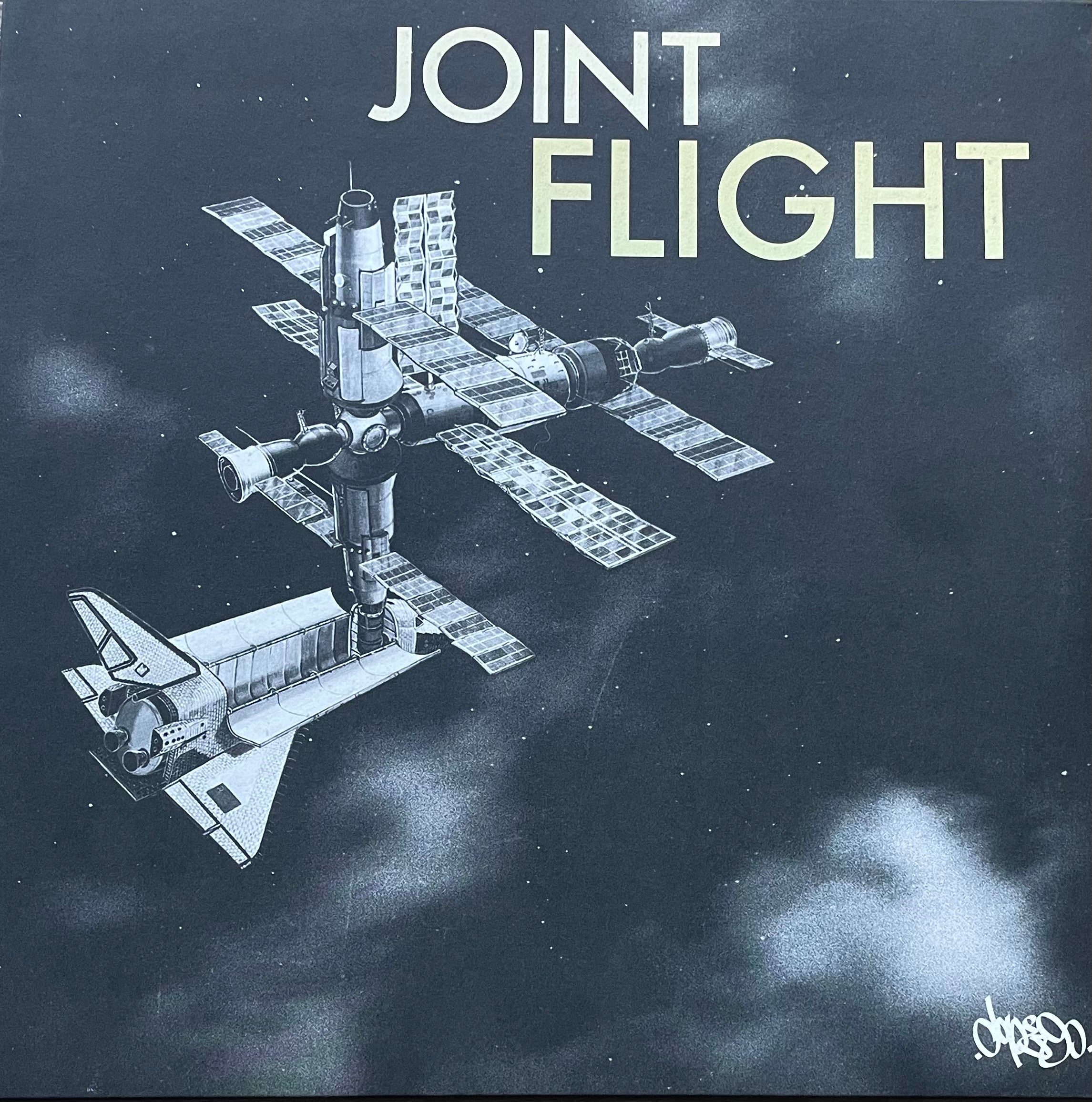 Various – Joint Flight | Orig. GER 2017