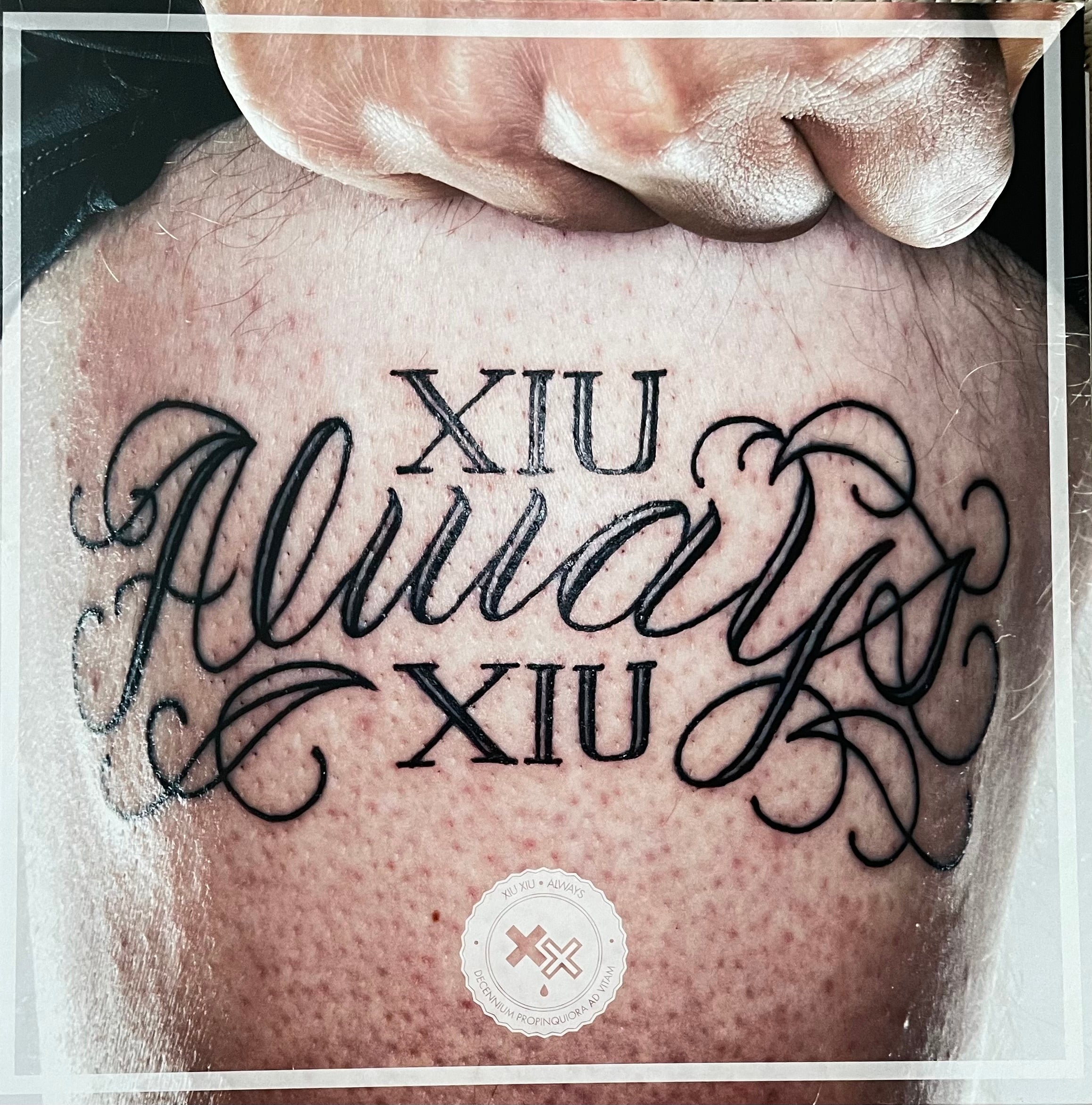 Xiu Xiu – Always | Orig. EU 2012 | Pink Vinyl