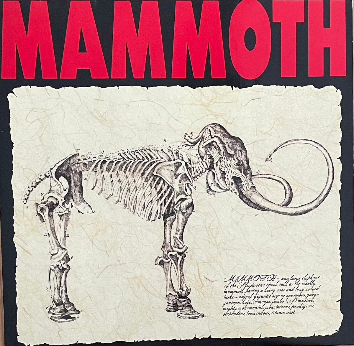Mammoth – Mammoth | Orig. GER 1989