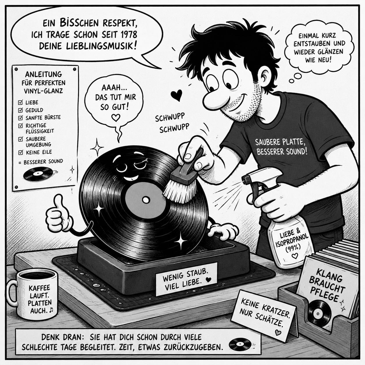 Vinyl Reinigung
